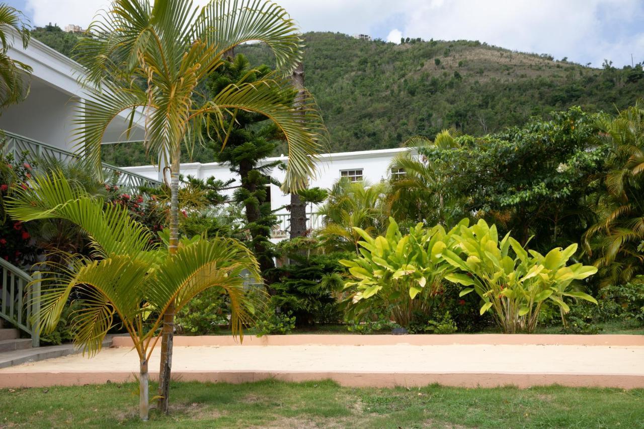 Icis Villas Brewers Bay Extérieur photo