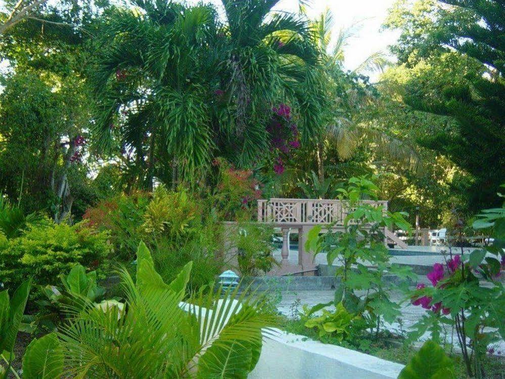 Icis Villas Brewers Bay Extérieur photo