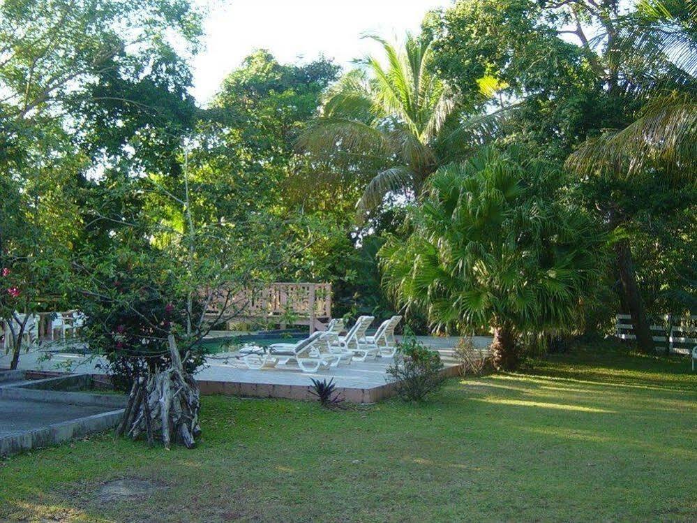 Icis Villas Brewers Bay Extérieur photo